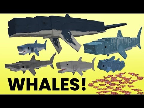 Judging whales in Minecraft for 8 minutes (Deep Blue Mod)