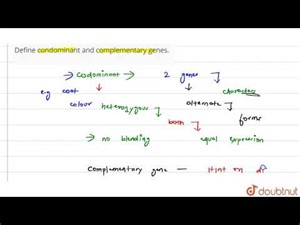 Define condominant and complementary genes. | 12 | PRINCIPLES OF INHERITANCE AND VARIATION |...