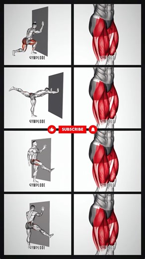 Wall Supported Leg Workout for Beginners #fitness #exercise #homeworkout #strengthtraining #shorts