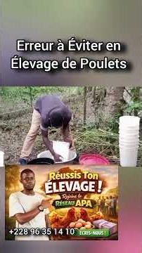 A mistake to avoid in chicken farming #poultry #agriculture