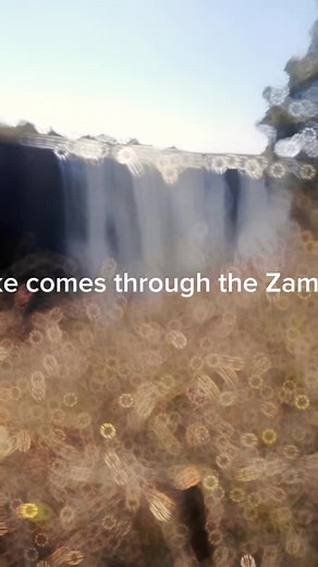 Nyami Nyami Giant Snake in Zambezi River: Scary Encounter at Victoria Falls