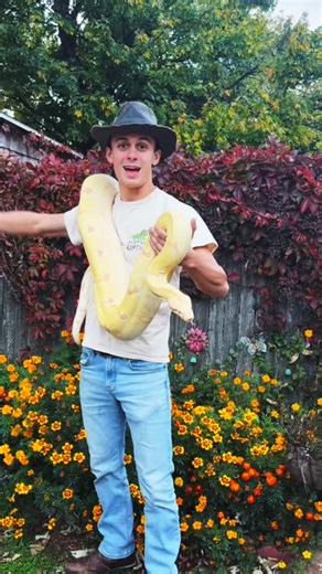 THIS WEEKEND! 年 Uncle Tony’s Reptiles in Harbes Barnyard Adventure!...