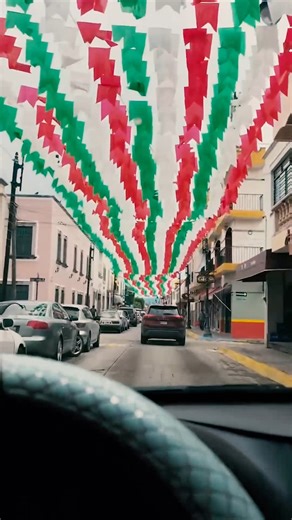 9.9K views · 120 reactions | #Calvillo se ve HERMOSO decorado con los colores patrios ❤️ #Aguascalientes | Aguascalientes de Mexico | Facebook