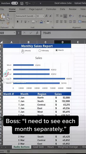 XecuteTheVision by Nicole Hullihen on Instagram: "How to add radio buttons in excel. Give options to select in filtering your excel report. #excel #exceltricks #exceltraining #exceltips #worksmarternotharder #buttons #reports #worktips"