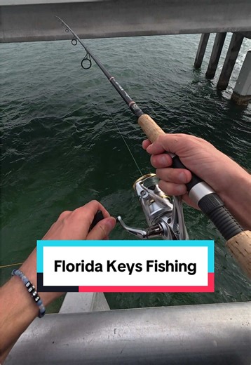 Fishing Adventure at a Florida Keys Bridge