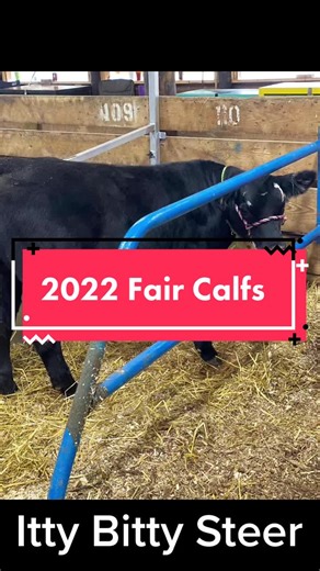 Paradise Hill Farm on TikTok