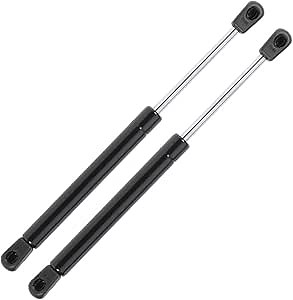 ECCPP Lift Support Trunk Replacement Struts Gas Springs Fit for Dodge Challenger 2008-2018 Set of 2
