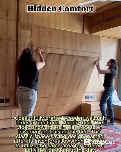 The Brilliant Simplicity of a Modern Murphy Bed 👍