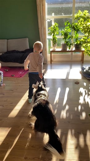 Fredag - Og jeg er gået på lang weekend med mine to banditter - Når jeg ser dem lege, grine og bare være børn – bliver jeg mindet om, hvorfor jeg gør det, jeg gør. For der er ikke noget vigtigere end vores børn. Og deres trivsel. ❤️ I denne uge har syv børn afsluttet deres SOS-forløb hos mig - syv børn, der er gået herfra lettere, tryggere og mere sig selv igen ❤️ Og det mest markante i denne uge har været: Alle børn har fået en bedre søvn 👏 Angsten er væk eller langt mindre end før 👏 Og hvis 