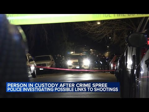 Shots fired at 2 CPD squad cars on South Side; 1 in custody