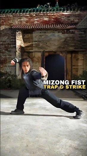 YANQING FIST (Mizongquan) | Authentic Shaolin Kung Fu Boxing Demonstration #kungfu