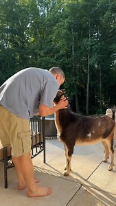 10K views · 11K reactions | Here’s to a life full of chick pics #hobbyfarm #smallfarm #countryliving | The Little Cabin That Could | Facebook