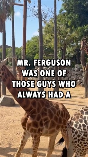 The neighbor's teenager kept jumping my fence to use my pool, smirking, what's the big deal? It's just water. Furious, I drained the pool and filled it with foam blocks..-#askredditstori #askreddit #reels #redditposts #redditstorytime #reddit #aita | Anirak-Lover