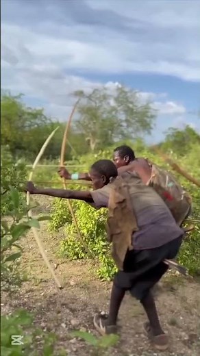 “How a Cheetah Reacts to Movement in the Jungle | Wildlife Observation”