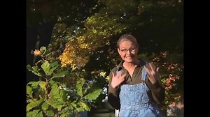 26 reactions · 13 shares | This object lesson from episode 31 shows the importance of being patient. | Dr. Wonder's Workshop | Facebook