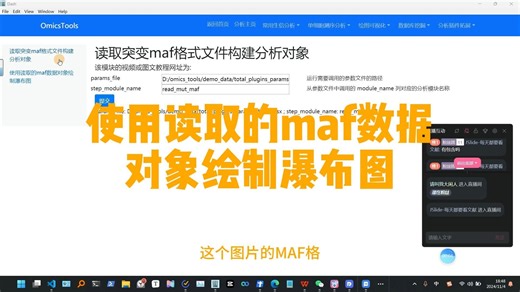 读取突变maf格式文件构建分析对象教程，代做生信分析