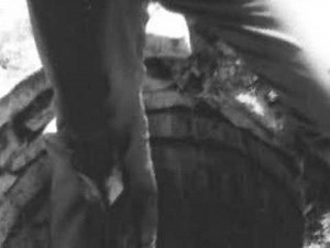 The Discovery of Inner Space Cavern, Texas