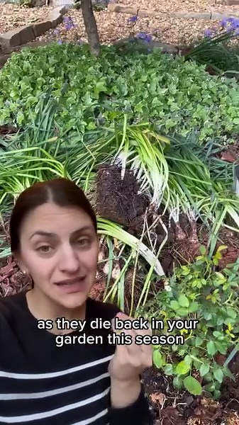 8.6K views · 126 reactions | The truth is, if you have an old patch...