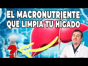 Discover the macronutrient that cleanses your liver
