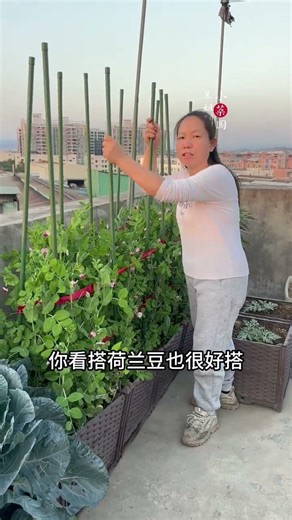 Non-Slip Vegetable Rack Setup Guide - Perfect for Home Gardeners