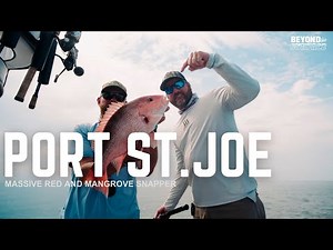 JUMBO RED SNAPPERS AND MANGROVE SNAPPERS in PORT ST.JOE FLORIDA