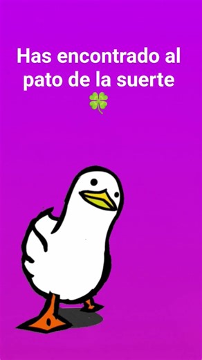 El pato de la suerte. Lo encontraste!