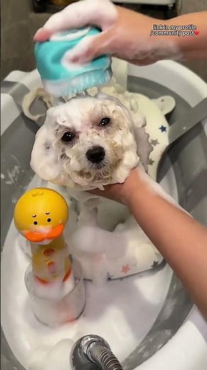 Electric Pet Cleaning Foam MachineEffortlessly foams for easy pet baths.Gentle for cats & dogs.