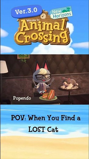 When YOU Find a LOST Cat in ACNH 3.0🐱 #animalcrossing #animalcrossingnewhorizons