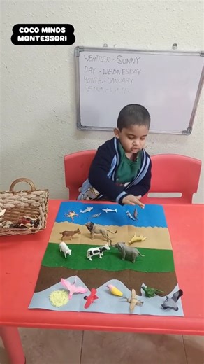 COCO MINDS MONTESSORI | In Montessori education, the Land, Air, and Water animal classification activity is a foundational geography and zoology and it's primary... | Instagram