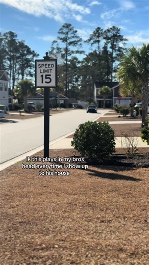 Camaro Enthusiast Memories: A Fun Tribute