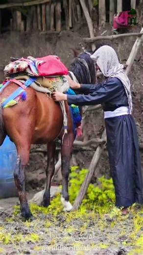 #addisneshidalyrics #menzuma