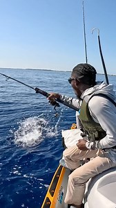 72K views · 633 reactions | Barracuda vs Bigger Barrcuda! The cuda’s would not leave us alone the entire day, they were so fired up they started eating each other #iBelongOutdoors #GoPro #PennFishing #Fishing #Bahamas #Barracuda | Emmanuel Williams | Facebook
