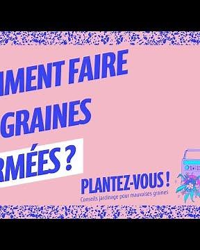 Comment faire vos graines germées ? - Plantez-vous