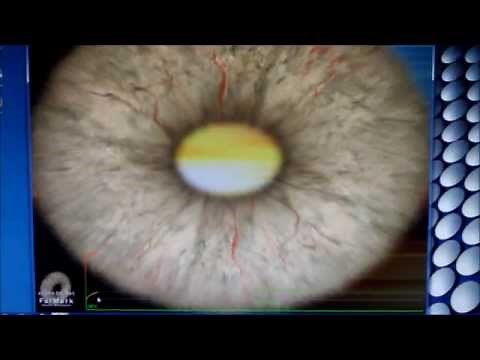 How to Install and stress test a graphics card for stability