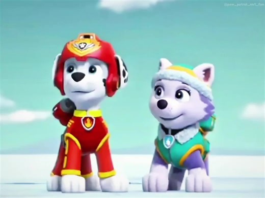 Paw Patrol Characters: Chase and Marshall's Adventure