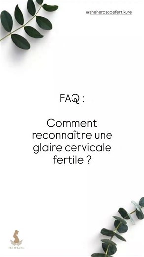 Shéhérazade FertiKure on Instagram: "La glaire cervicale change au fil du cycle sous l’effet des hormones. Elle devient fertile autour de l’ovulation. ✨ Caractéristiques de la glaire fertile - Transparente ou blanc d’œuf - Élastique, s’étire entre les doigts sur plusieurs centimètres - Humide, lubrifiante, glissante - Sensation de “mouillé” dans la culotte Ces signes correspondent à la période où les œstrogènes sont élevés, juste avant l’ovulation. 🧪 Pourquoi elle change ? - Avant l’ovulation :