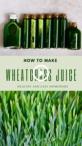 How to make Wheatgrass Shots and Juice https://www.alphafoodie.com/how-to-make-wheatgrass-shots-and-juice/ #wheatgrass #wheatgrassshot #wheatgrassjuice #energyboost | AlphaFoodie