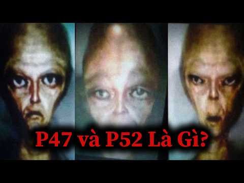 What Are the P47s and P52s?