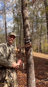 19 reactions · 4 comments | 5 tips for saddle hunting | Brion Whitten | Facebook