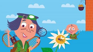 What is a plant? - BBC Bitesize