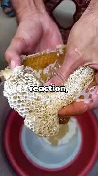 My daughter draws crime scenes before they happen. The police just arrested me for one.