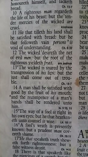 Proverbs 12:11-12