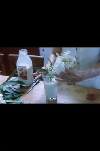 Spring Awakening: Embracing the Transition