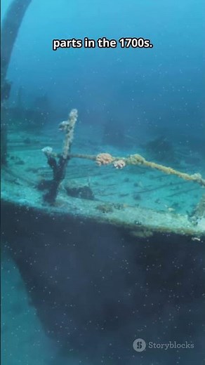 From Ice Age to Paradise: The Great Barrier Reef #nature #evolution #wildlife