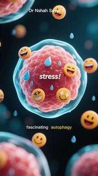 The Stress Paradox: Why Some Stress Is Good for Your Cells