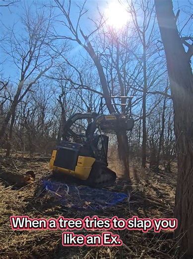 #skidsteerattachment #weedremoval #Treeremoval #fallingtree #skidsteertrackloader @New Holland Agriculture