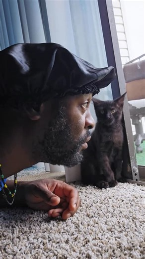 Violet Benson on Instagram: "I love cats!!!! #explorepage #cats #funny #catsfollowers #catsofinstagram"