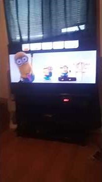 despicable me 2 DVD menu walkthrough