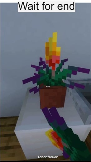 Working Sink in minecraft Magic #viral #minecraft #minecraftshorts #shorts #short #shortsfeed #bome