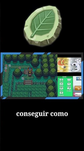 How to get the Leaf Stone | Pokemon HeartGold/SoulSilver Guide
